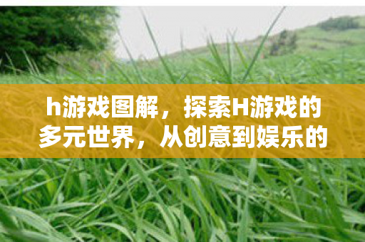 h游戏图解,探索H游戏的多元世界,从创意到娱乐的无限可能 h游戏图解,探索H游戏的多元世界,从创意到娱乐的无限可能