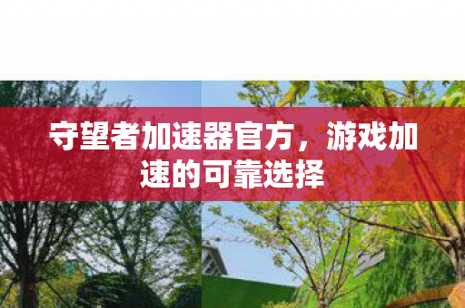 守望者加速器官方,游戏加速的可靠选择 守望者加速器官方,游戏加速的可靠选择