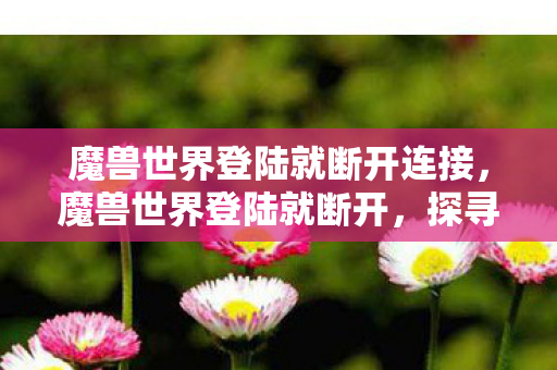 魔兽世界登陆就断开连接,魔兽世界登陆就断开,探寻背后的原因与解决方案 魔兽世界登陆就断开连接,魔兽世界登陆就断开,探寻背后的原因与解决方案