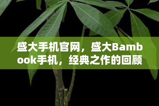 盛大手机官网，盛大Bambook手机，经典之作的回顾与未来展望