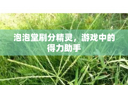 泡泡堂刷分精灵,游戏中的得力助手 泡泡堂刷分精灵,游戏中的得力助手