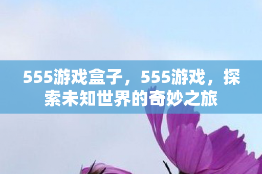 555游戏盒子，555游戏，探索未知世界的奇妙之旅