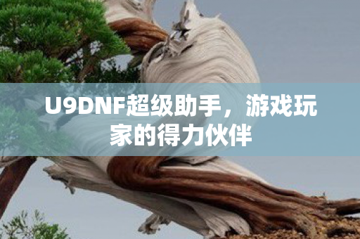 U9DNF超级助手,游戏玩家的得力伙伴 U9DNF超级助手,游戏玩家的得力伙伴