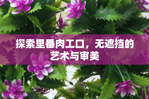 探索里番肉工口,无遮挡的艺术与审美 探索里番肉工口,无遮挡的艺术与审美