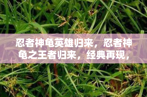 忍者神龟英雄归来,忍者神龟之王者归来,经典再现,英雄再起 忍者神龟英雄归来,忍者神龟之王者归来,经典再现,英雄再起
