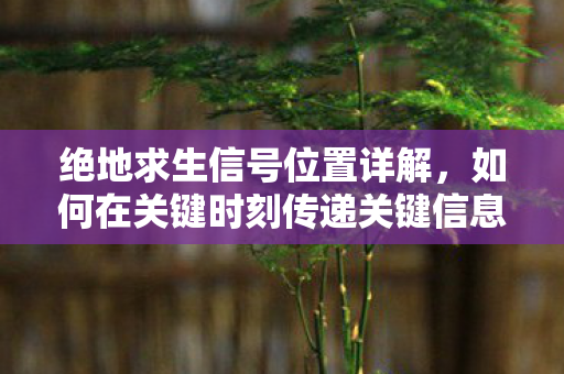 绝地求生信号位置详解,如何在关键时刻传递关键信息 绝地求生信号位置详解,如何在关键时刻传递关键信息