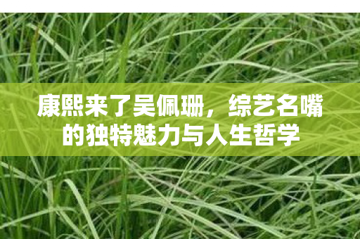 康熙来了吴佩珊,综艺名嘴的独特魅力与人生哲学 康熙来了吴佩珊,综艺名嘴的独特魅力与人生哲学