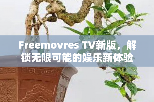 Freemovres TV新版，解锁无限可能的娱乐新体验
