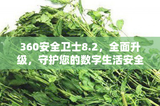 360安全卫士8.2,全面升级,守护您的数字生活安全 360安全卫士8.2,全面升级,守护您的数字生活安全