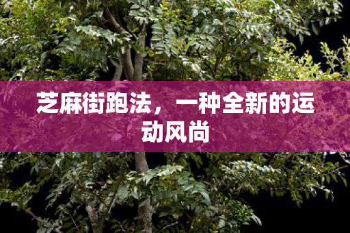芝麻街跑法,一种全新的运动风尚 芝麻街跑法,一种全新的运动风尚