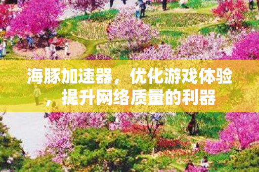海豚加速器,优化游戏体验,提升网络质量的利器 海豚加速器,优化游戏体验,提升网络质量的利器