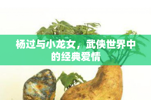 杨过与小龙女,武侠世界中的经典爱情 杨过与小龙女,武侠世界中的经典爱情