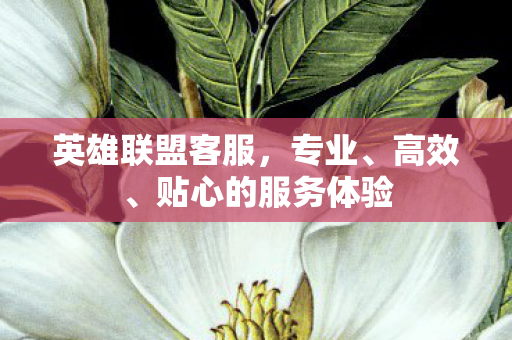 英雄联盟客服,专业、高效、贴心的服务体验 英雄联盟客服,专业、高效、贴心的服务体验