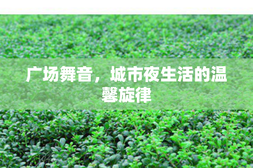 广场舞音,城市夜生活的温馨旋律 广场舞音,城市夜生活的温馨旋律