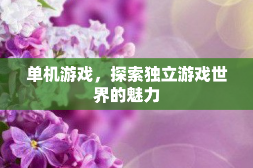 单机游戏,探索独立游戏世界的魅力 单机游戏,探索独立游戏世界的魅力