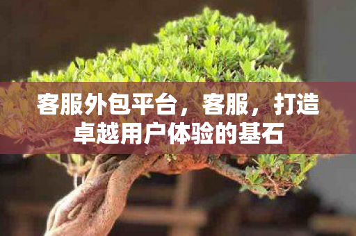 客服外包平台,客服,打造卓越用户体验的基石 客服外包平台,客服,打造卓越用户体验的基石