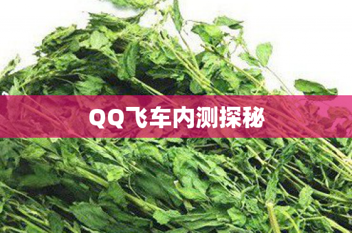 QQ飞车内测探秘 QQ飞车内测探秘