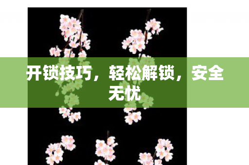 开锁技巧,轻松解锁,安全无忧 开锁技巧,轻松解锁,安全无忧
