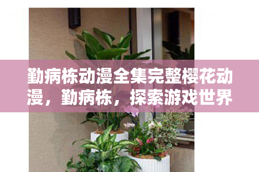 勤病栋动漫全集完整樱花动漫,勤病栋,探索游戏世界的另一面 勤病栋动漫全集完整樱花动漫,勤病栋,探索游戏世界的另一面