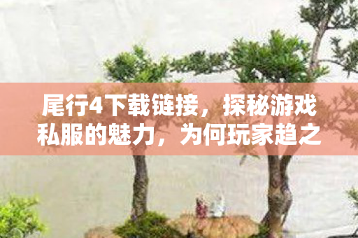 尾行4下载链接,探秘游戏私服的魅力,为何玩家趋之若鹜? 尾行4下载链接,探秘游戏私服的魅力,为何玩家趋之若鹜?