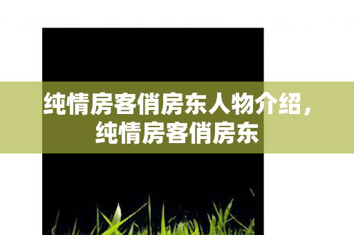 纯情房客俏房东人物介绍,纯情房客俏房东 纯情房客俏房东人物介绍,纯情房客俏房东