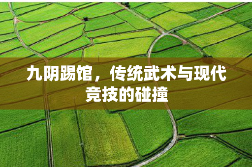 九阴踢馆,传统武术与现代竞技的碰撞 九阴踢馆,传统武术与现代竞技的碰撞