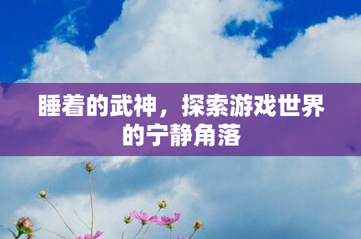 睡着的武神,探索游戏世界的宁静角落 睡着的武神,探索游戏世界的宁静角落