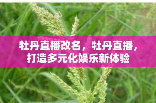 牡丹直播改名,牡丹直播,打造多元化娱乐新体验 牡丹直播改名,牡丹直播,打造多元化娱乐新体验