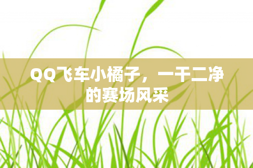 QQ飞车小橘子,一干二净的赛场风采 QQ飞车小橘子,一干二净的赛场风采