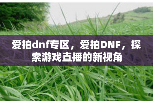 爱拍dnf专区,爱拍DNF,探索游戏直播的新视角 爱拍dnf专区,爱拍DNF,探索游戏直播的新视角