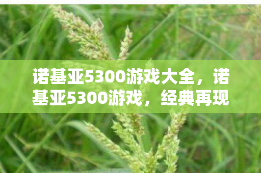 诺基亚5300游戏大全,诺基亚5300游戏,经典再现,回忆杀! 诺基亚5300游戏大全,诺基亚5300游戏,经典再现,回忆杀!