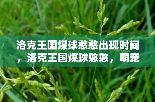 洛克王国煤球憨憨出现时间,洛克王国煤球憨憨,萌宠养成与奇幻世界的奇妙之旅 洛克王国煤球憨憨出现时间,洛克王国煤球憨憨,萌宠养成与奇幻世界的奇妙之旅