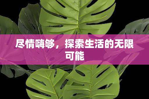 尽情嗨够,探索生活的无限可能 尽情嗨够,探索生活的无限可能