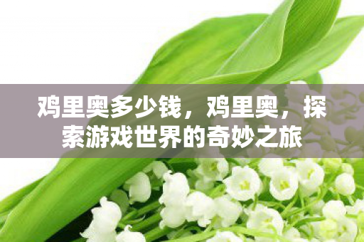 鸡里奥多少钱,鸡里奥,探索游戏世界的奇妙之旅 鸡里奥多少钱,鸡里奥,探索游戏世界的奇妙之旅