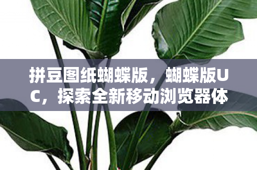 拼豆图纸蝴蝶版,蝴蝶版UC,探索全新移动浏览器体验 拼豆图纸蝴蝶版,蝴蝶版UC,探索全新移动浏览器体验