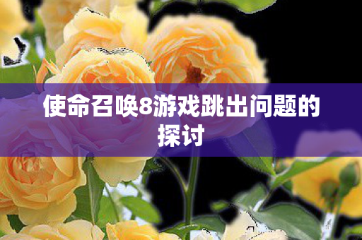 使命召唤8游戏跳出问题的探讨 使命召唤8游戏跳出问题的探讨
