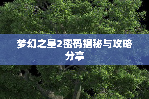 梦幻之星2密码揭秘与攻略分享 梦幻之星2密码揭秘与攻略分享