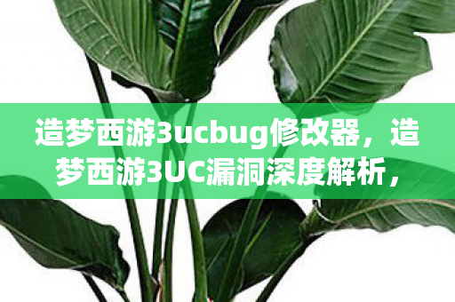 造梦西游3ucbug修改器,造梦西游3UC漏洞深度解析,游戏内外的挑战与应对 造梦西游3ucbug修改器,造梦西游3UC漏洞深度解析,游戏内外的挑战与应对