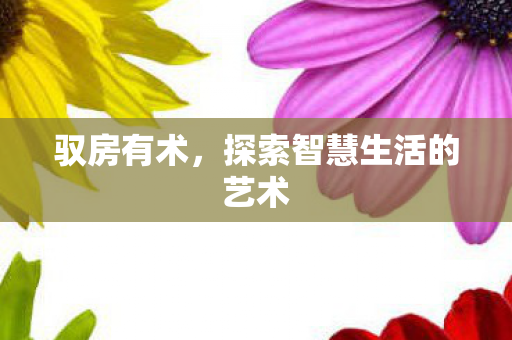 驭房有术，探索智慧生活的艺术