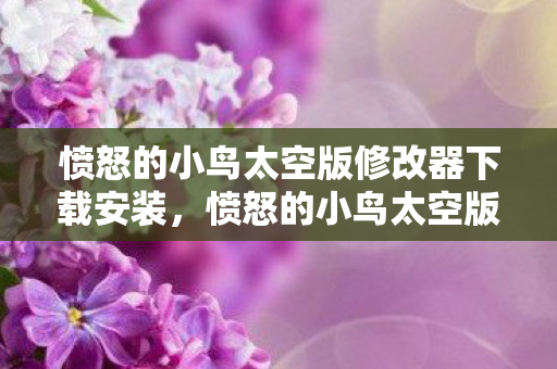 愤怒的小鸟太空版修改器下载安装，愤怒的小鸟太空版修改器，解锁无限可能的冒险之旅