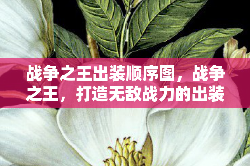战争之王出装顺序图，战争之王，打造无敌战力的出装顺序