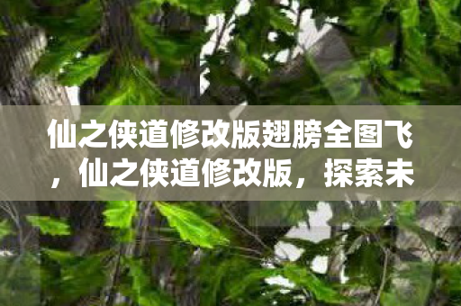 仙之侠道修改版翅膀全图飞，仙之侠道修改版，探索未知世界的奇妙之旅