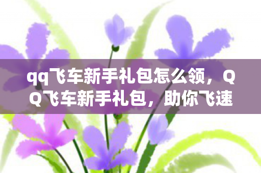 qq飞车新手礼包怎么领,QQ飞车新手礼包,助你飞速启程的必备神器 qq飞车新手礼包怎么领,QQ飞车新手礼包,助你飞速启程的必备神器