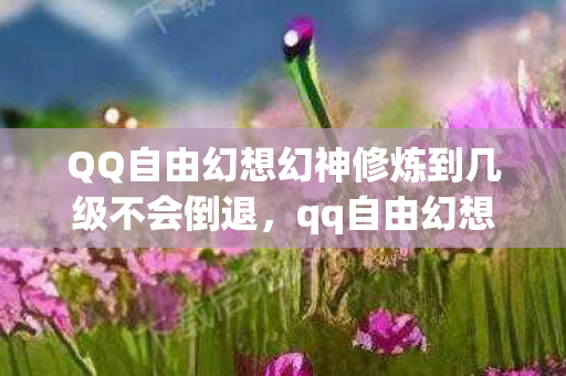 QQ自由幻想幻神修炼到几级不会倒退,qq自由幻想幻神修炼,提升角色战斗力的关键步骤 QQ自由幻想幻神修炼到几级不会倒退,qq自由幻想幻神修炼,提升角色战斗力的关键步骤