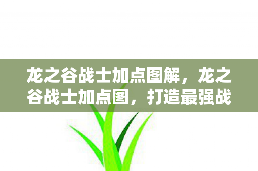龙之谷战士加点图解，龙之谷战士加点图，打造最强战士的攻略