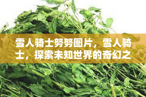 雪人骑士努努图片,雪人骑士,探索未知世界的奇幻之旅 雪人骑士努努图片,雪人骑士,探索未知世界的奇幻之旅