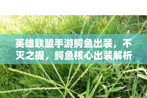 英雄联盟手游鳄鱼出装,不灭之握,鳄鱼核心出装解析 英雄联盟手游鳄鱼出装,不灭之握,鳄鱼核心出装解析