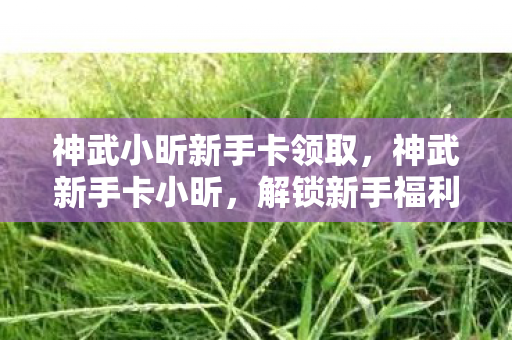 神武小昕新手卡领取，神武新手卡小昕，解锁新手福利，畅游神武世界