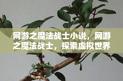网游之魔法战士小说,网游之魔法战士,探索虚拟世界的无限可能 网游之魔法战士小说,网游之魔法战士,探索虚拟世界的无限可能