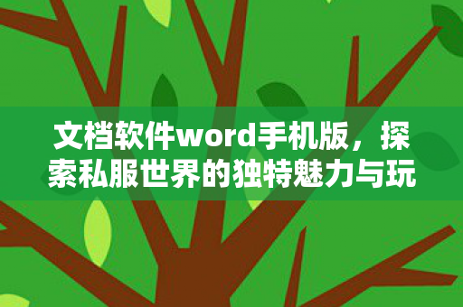 文档软件word手机版，探索私服世界的独特魅力与玩家心声